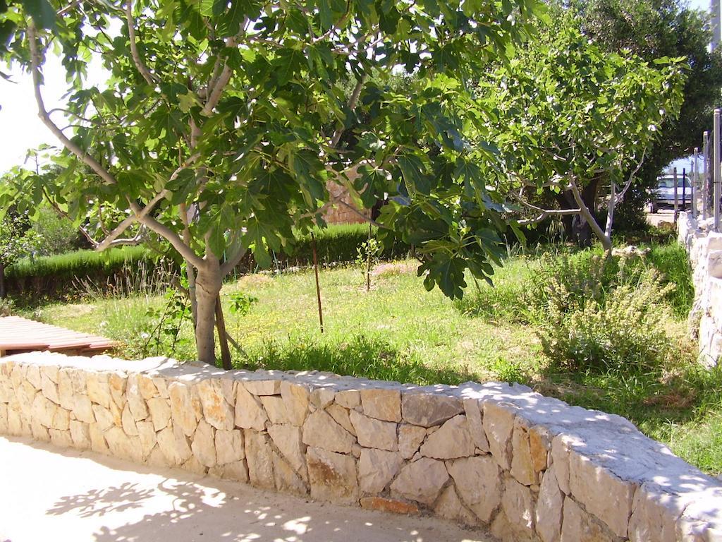 Apartments Krusvina Lun  Dış mekan fotoğraf
