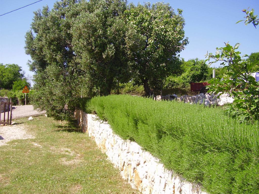 Apartments Krusvina Lun  Dış mekan fotoğraf