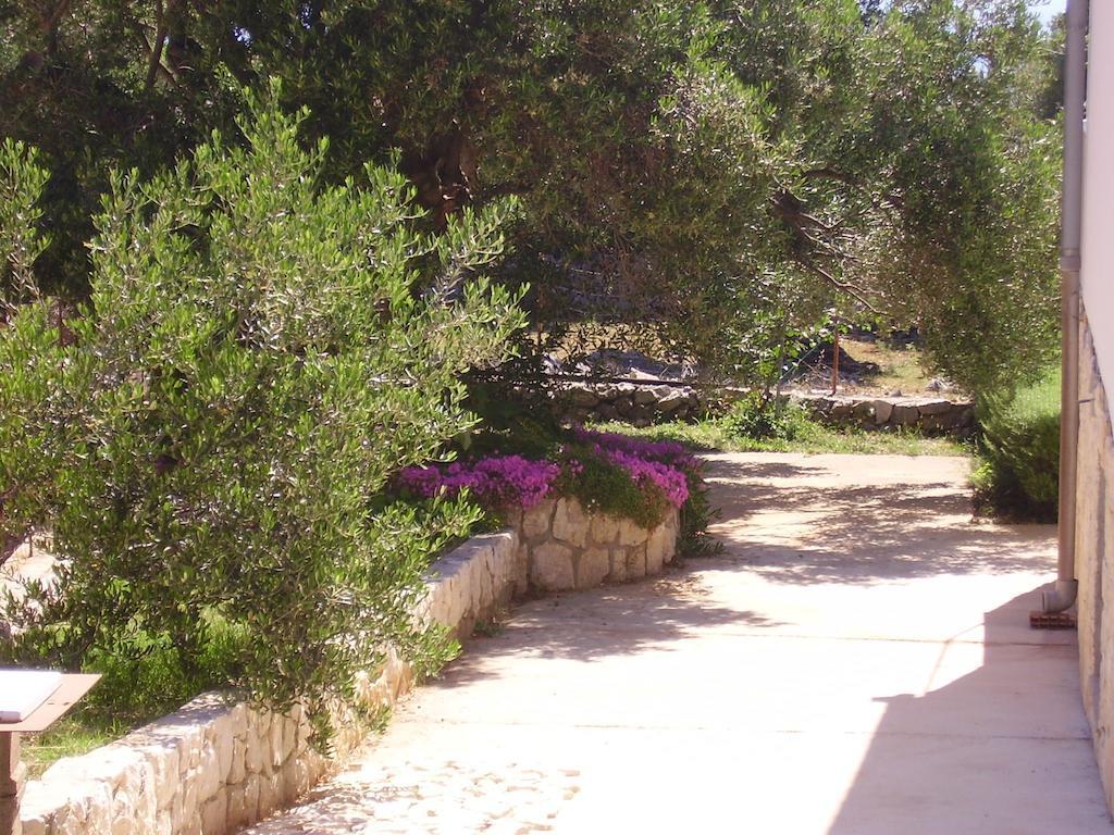 Apartments Krusvina Lun  Dış mekan fotoğraf