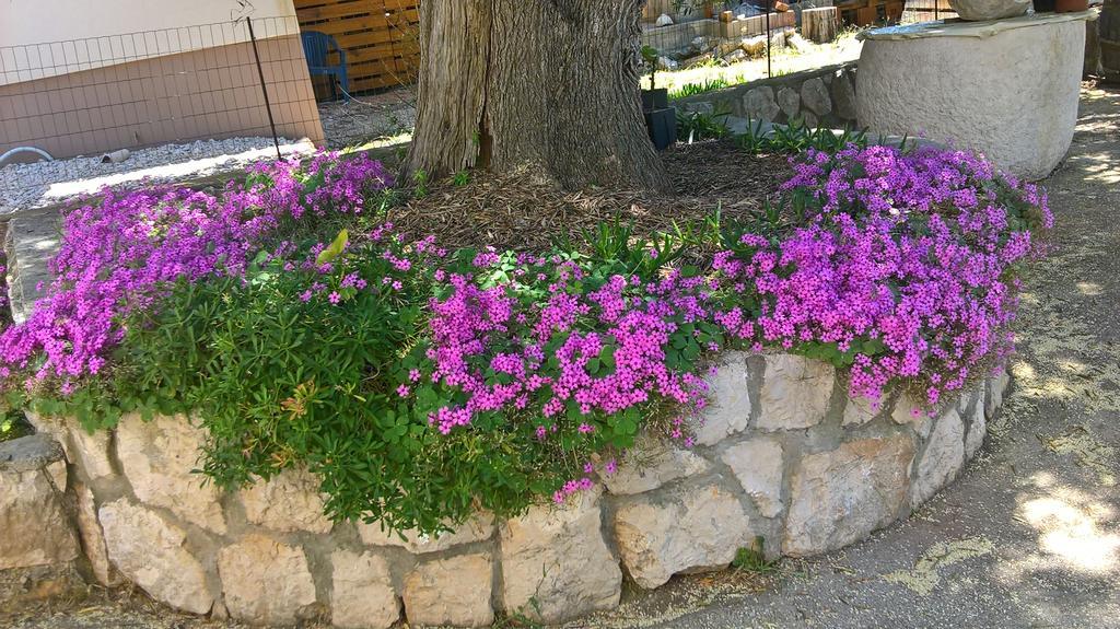 Apartments Krusvina Lun  Dış mekan fotoğraf