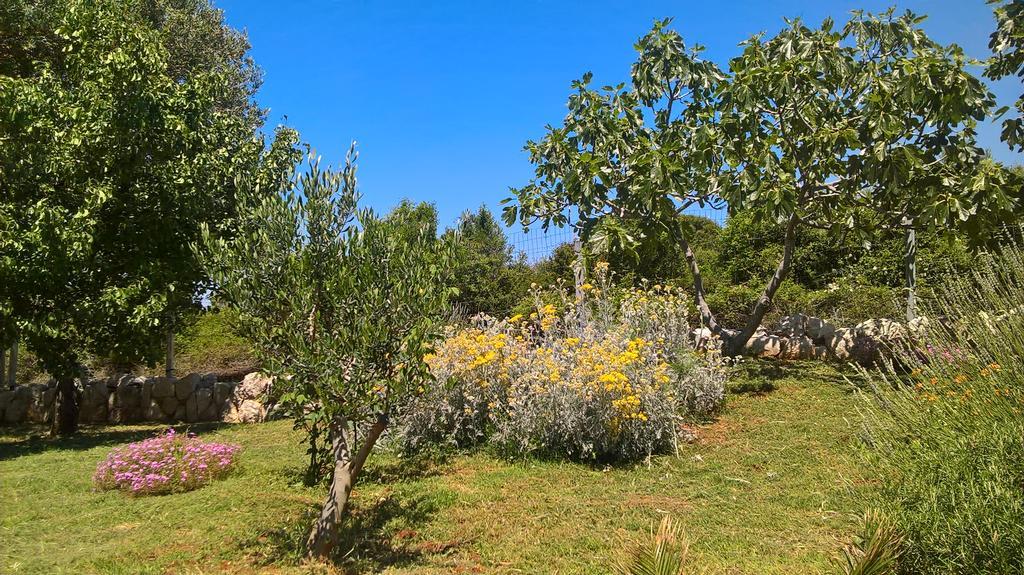 Apartments Krusvina Lun  Dış mekan fotoğraf
