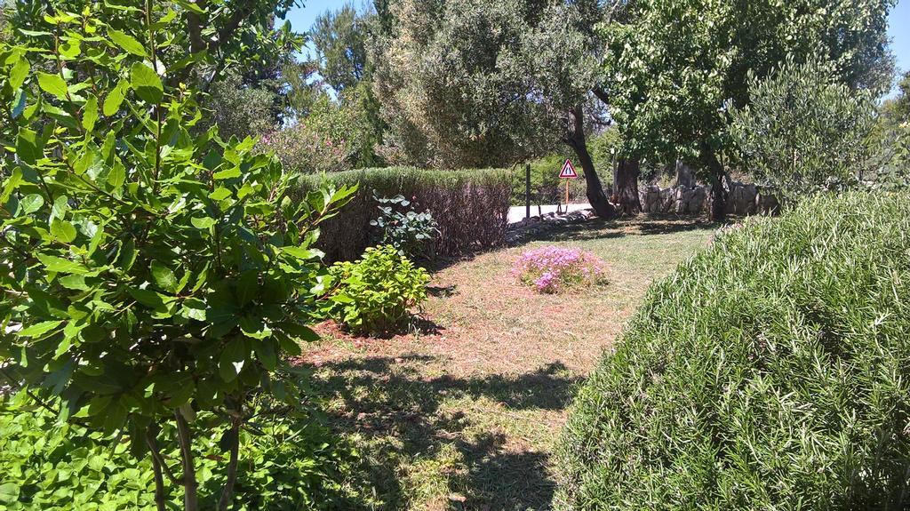 Apartments Krusvina Lun  Dış mekan fotoğraf
