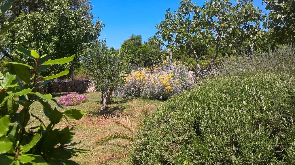 Apartments Krusvina Lun  Dış mekan fotoğraf